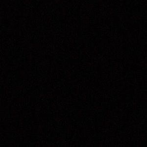 Meet your Posher, Regan